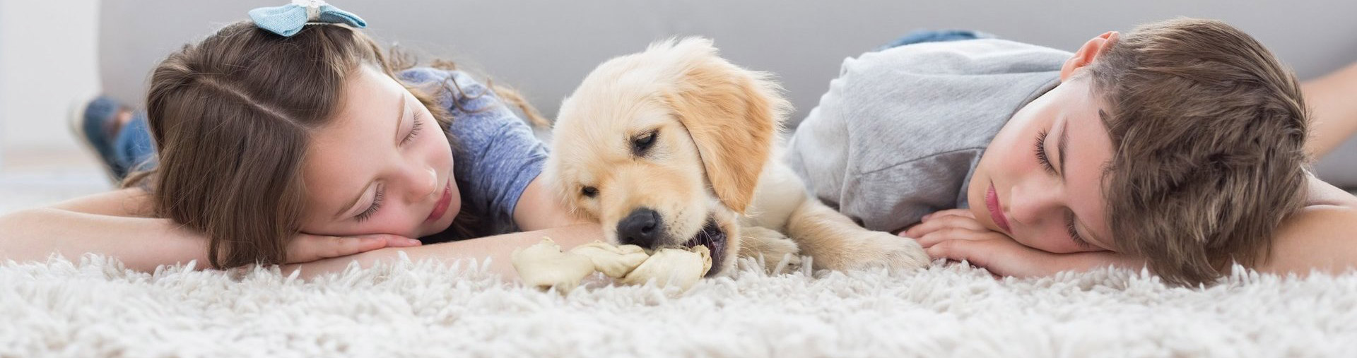 carpet-cleaning